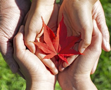 Learn How to Start a Foundation in Canada with Canada Gives .